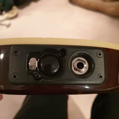 Line 6 Variax 700 acoustic early 2000s? Cedar image 8