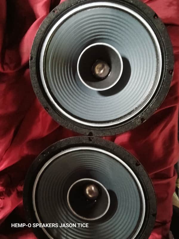 12" FIELD COIL SPEAKERS WIDE RANGE PAIR ALL NEW OEM AMERICAN COMPONENTS PMR 30PAP-FC 2026 image 1