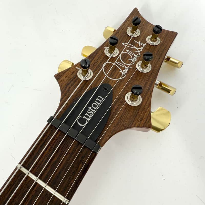 2017 PRS Custom 24 10-Top - Trampas Green | Reverb