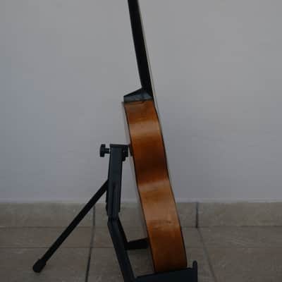Original 19th Century TERZ guitar - Very rare! image 13