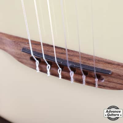 Godin Multiac Mundial Oza image 10
