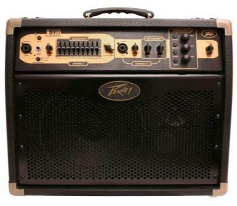 Peavey Ecoustic E110 W/Ft Controller image 1