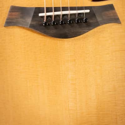 Taylor 210ce Dreadnought Acoustic/Electric Guitar with Gig Bag image 9