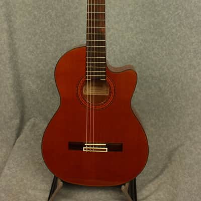 Alvarez AC60SC  Classical Acoustic/Electric Guitar with Hardshell Case image 2