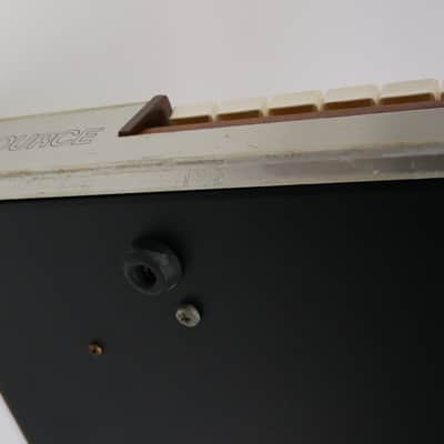 Immagine moog Source - 24
