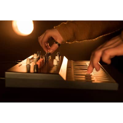 Arturia MicroFreak Vocoder Hybrid Analog/Digital Synthesizer with Advanced Digital Oscillators (Black) Bundle with Arturia MicroFreak Gooseneck Mic and Polsen Studio Monitor Headphones image 5