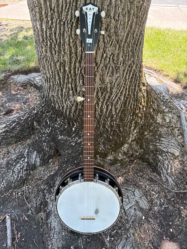 Kay 5 String