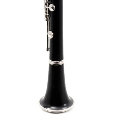 Buffet Crampon R13 Professional Bb Clarinet in Grenadilla SN 414280 image 9