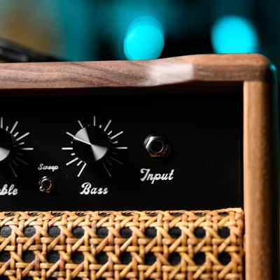 Invaders Amplification - 530 BlueVerb Guitar Combo Reverb 1x12" - 30W/15W - 6L6 - Solid Wood image 7