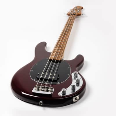 Ernie Ball Music Man StingRay 4 H Special, Translucent Oxblood / Roasted Maple *ON ORDER ETA  April 2026 image 6