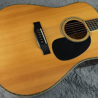 TF Morris W-50 - Natural Japan Acoustic image 6