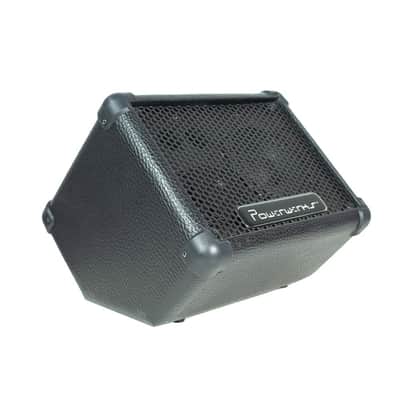 Powerwerks PW4P 50-Watt Personal Monitor image 6