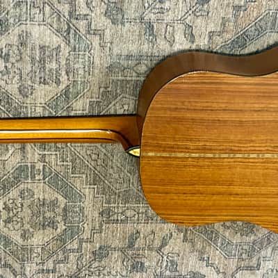 Washburn D28S / D29S - Natural image 12