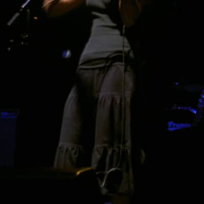 Barcus-Berry Acoustic-Electric Violin BBVSS1 Tracy Bonham image 15