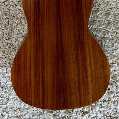 Luna Model UKE ACC Exotic Flamed Acacia Concert Size Ukulele -  Demo image 2