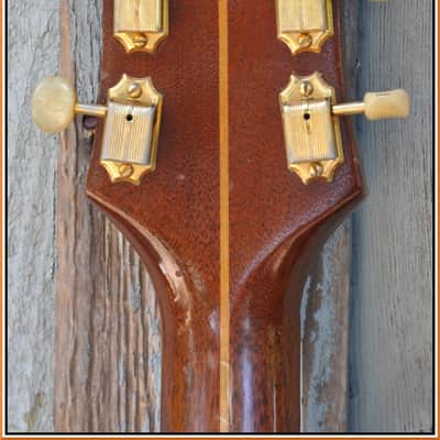 1953 Guild M-75 Aristocrat (Bluesbird) EXC - Original image 9