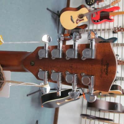 Alvarez AG60CE Artist Series 8-string Acoustic-electric Guitar - Shadowburst image 8