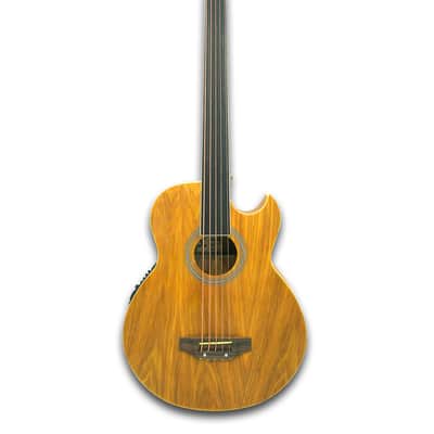 Fretless 5 String Acoustic Electric Bass image 1