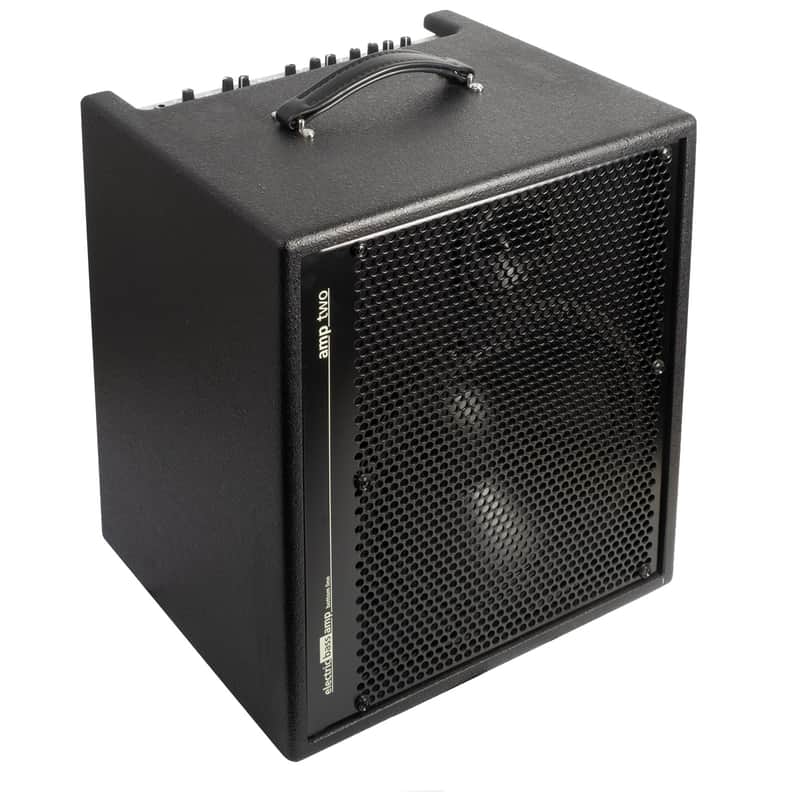 AER Amp Two | 240W 12" +8" Bass Combo. New with Full Warranty! image 1
