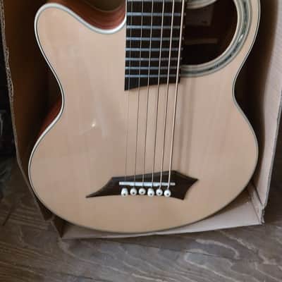 Left handed 6 string Warwick Alien Acoustic bass deluxe image 4