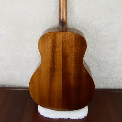 Washburn WL012SE-0 Acoustic/Electric #CC201113216 w/HSC USED image 14