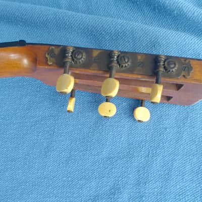 all original 1892 Washburn Parlor Adirondack Top Brazilian rosewood image 10