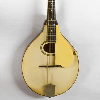 Gibson A-3 Mandolin 1919 - Ivory image 11