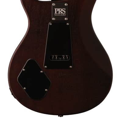 PRS Paul Reed Smith DW CE 24 Floyd Electric Guitar Dustie Waring Burnt Amber Smokeburst + PRS Gig Bag - BRAND NEW image 2