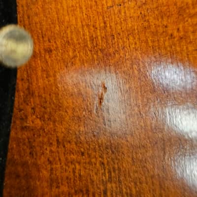 D Z Strad Viola - Model 700 - Viola Outfit Handmade by Prize Winning Luthiers (16" Inch) image 3