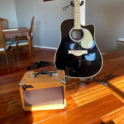 Esteban VL-100 Vintage Legacy Master Class Series 2010 Black image 1