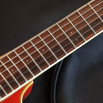 1960's Mosrite Hollowbody Electric Guitar + GB image 8