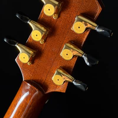 Kathy Wingert E Macassar Ebony image 12