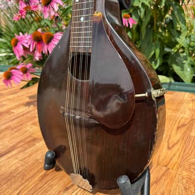 1920s Gibson Junior Style A-Jr Mandolin w/ Gibson HSC image 12