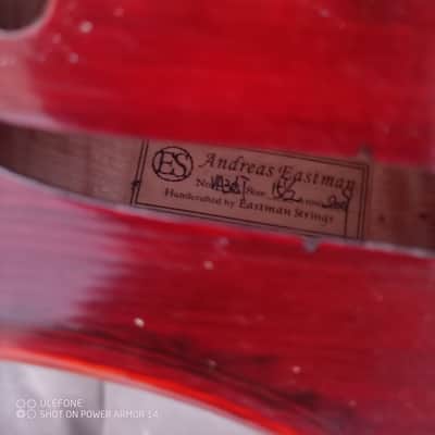 Very fine Viola 5 Strings A.Eastman 2009 image 15