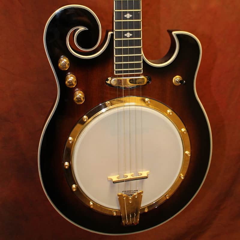 Gold Tone EBM-5 Electric Banjo image 1