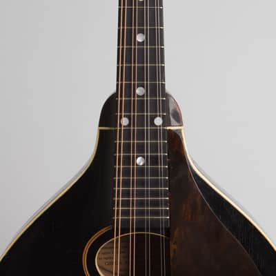 Gibson  Style A Snakehead Carved Top Mandolin (1925), ser. #77389, black tolex hard shell case. image 8