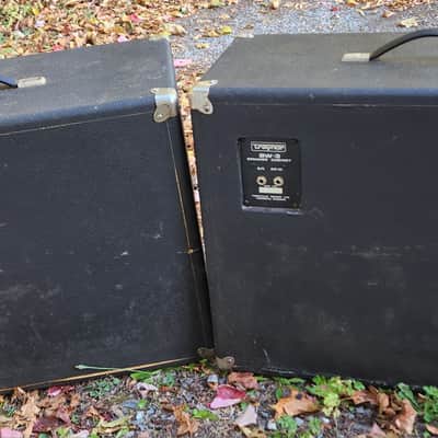 Traynor BW-3 PA/Guitar Speaker Cabinet (Pair) 1980s Canada image 9