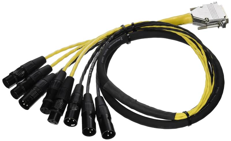 Avid DB25 Male to Female DigiSnake Audio Cable 4' (Model 99403042500) image 1