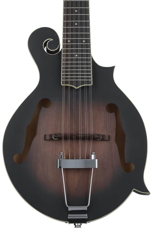 Gold Tone F-12 12-string Acoustic-electric Mando-Guitar - Tobacco Sunburst image 1