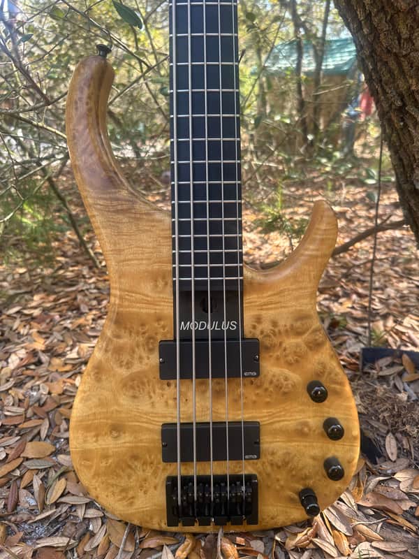 Modulus Quantum 5 2006 Burl maple image 1
