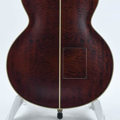 Takamine TB10 Recent image 8
