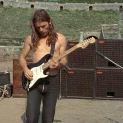WEM Watkins Electric Music Logo Badge Starfinder Gilmour Floyd Live At Pompeii image 4