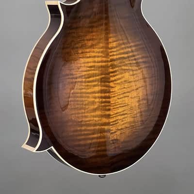 Northfield Big Mon w/ Italian Spruce Top (#B250841) image 11
