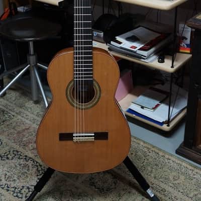Giannini Asturias 7 String Classical Guitar with - Handcrafted in Brazil - GNC4/7 image 2