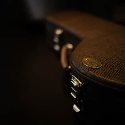 Pedro Santos 8-String Mandolin | Brazil 2024 image 12