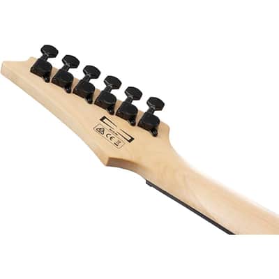 Ibanez GRG120QASP GRG Series 6-String Electric Guitar 2023 - Transparent Blue Gradation image 8