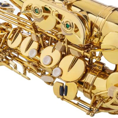 Gold Lacquer E♭ Alto Saxophone Outfit w/ Case & Accessories image 3