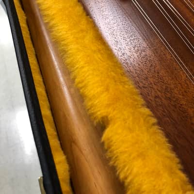 Dusty Strings D10 Dulcimer image 13