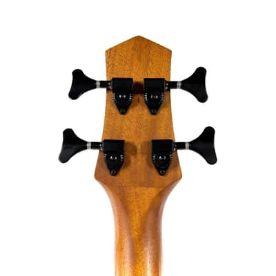 Used Gold Tone Micro Bass 25 image 10