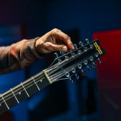 Washburn H12TB | Wing Series Hawk 12-String Electric Guitar, Trans Black. New with Full Warranty! image 21